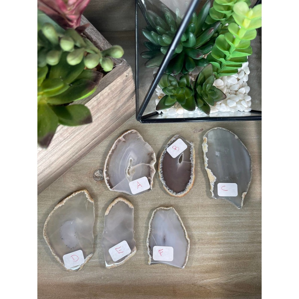 Agate Slices Polished Crystal A-D